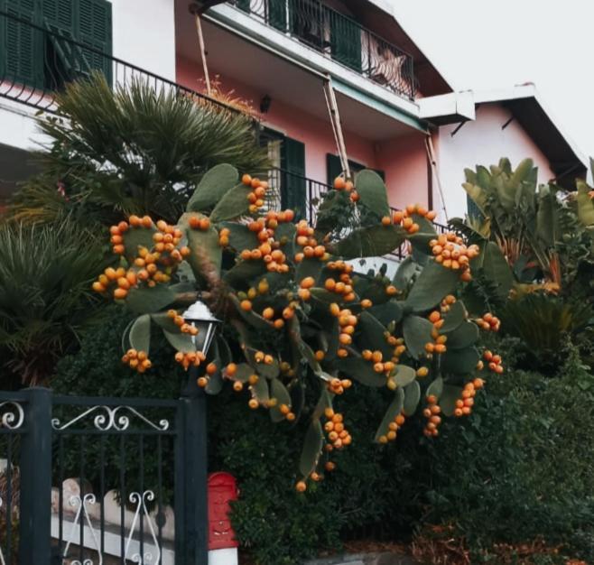 Apartmán Giardino Miramare Citra Zero Zero Ottanta Trentuno Lt 0737 Imperia Exteriér fotografie